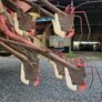 Accord DL 4m seed drill Image 6