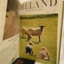 Ireland of the Welcomes Magazines: Issues from May 1972 to April 1973 (HQ520) Image 2
