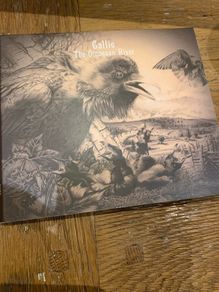 Gallie - The Occoquan River
