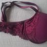Debenhams 36D bra new and in excellent condition and never used FREE STANDARD POSTAGE INCLUDED Image 7