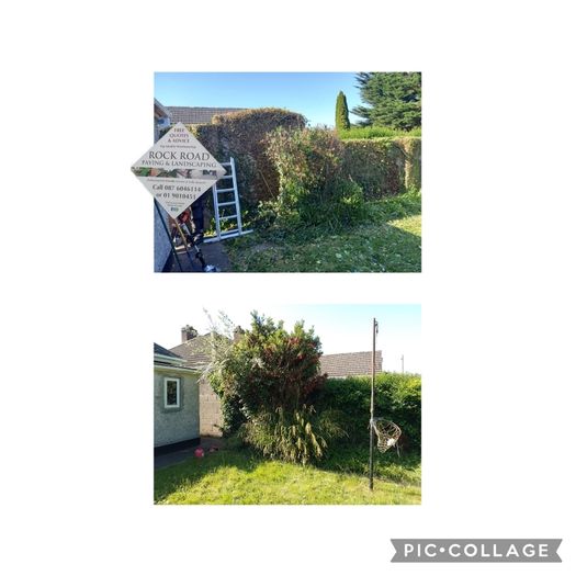 Garden maintenance