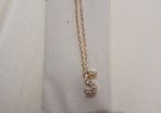 Inital S pendant and chain
