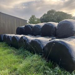 Round bales of silage