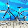 Giant Escape Hybrid Bike Image 6