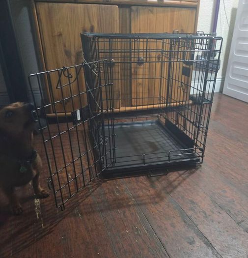 Ovation Dog crate