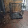 Ovation Dog crate Image 3