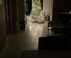 10ft Christmas tree