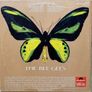 LP Bee Gees, in good condition. The price is on the list. Image 2
