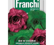 (C) Fr. Chicory seeds Bis Mix Large 12g pack (805748)