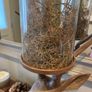 Huge stag solid with glass top for decor or candle Image 4