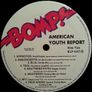 Various  American Youth Report Hardcore Punk Image 2