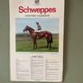 Horse racing Image 6