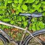 Giant Roam Bicycle Image 2