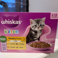 cat food