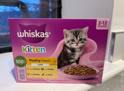 cat food