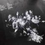 Scorpions Vinyls Image 6