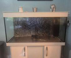 Large fish tank and unit