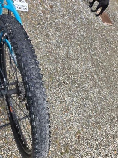 Fuji Nevada 2.0