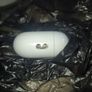 Apple  AirPods pro 2nd gen, with warranty & 3 months free Apple music, Used once, Image 6