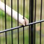 Xl Bird Aviary Cage 146 X 54 X 54 Cm Free Delivery Image 8