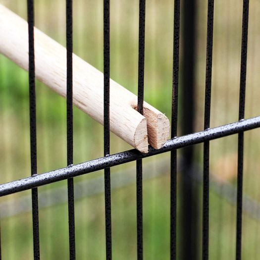 Xl Bird Aviary Cage 146 X 54 X 54 Cm Free Delivery