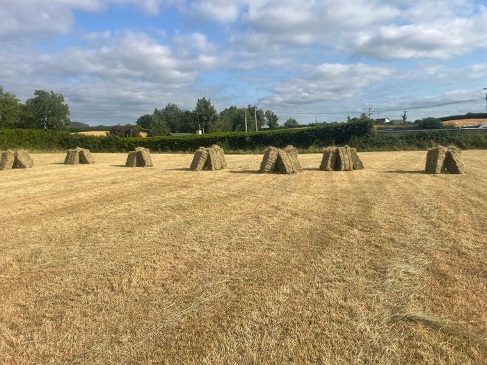 Square bales