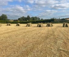 Square bales