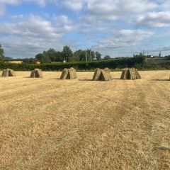 Square bales