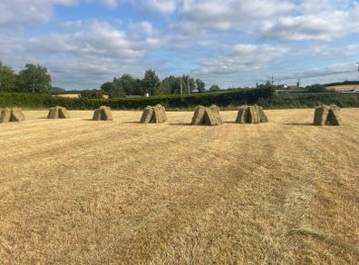 Square bales