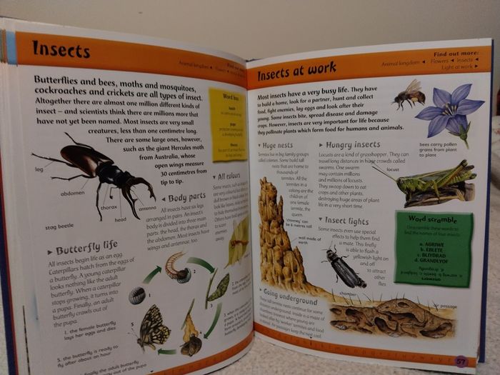 First Fun Encyclopedia Hardback Book