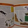 First Fun Encyclopedia Hardback Book Image 9