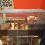 Hamster cage + full hamster kit Image 4