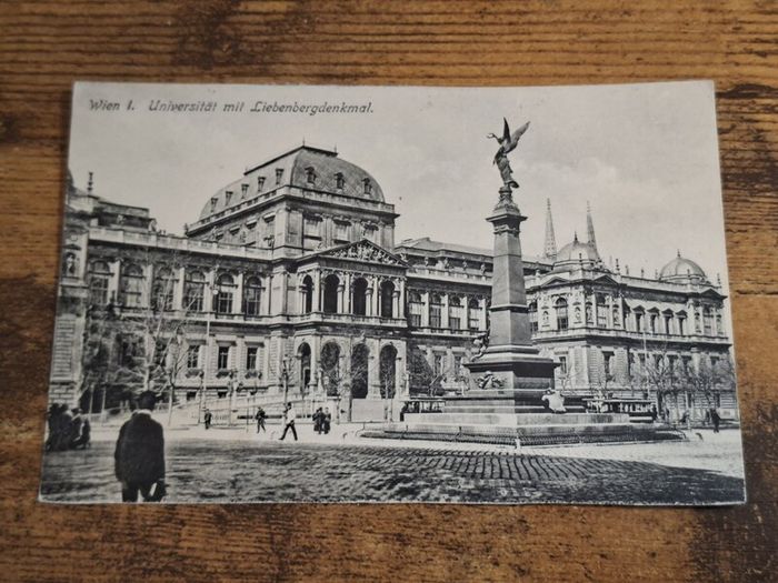 Vintage Postcard University at Liebenberg Memorial, Wien I., Austria - free standard postage