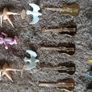 cake toppers for many occasions Image 5