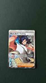 Pokemon Card: Black Belt's Training