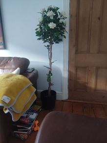 artificial plant