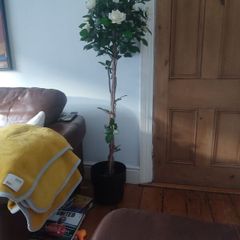 artificial plant