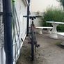 Ridgeback Mx2 (I am up to negotiation!) Image 2