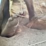 Artisanats et arts au Cameroun Image 10