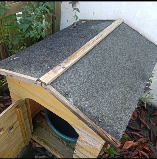 Dog kennel and plastic bed