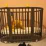Stokke sleepi 3in1 Image 3