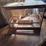 bird cages Image 3