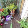 Fliker  sporter Image 2