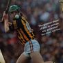 The Autobiography ! HAND SIGNED by Henry Shefflin ! 2015 ! by Penguin ! AUTOGRAPH ! Image 3
