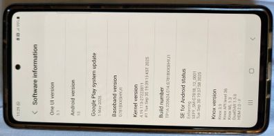 Samsung Galaxy S20 FE 5G Dual-SIM (Snapdragon) + Great Bandle