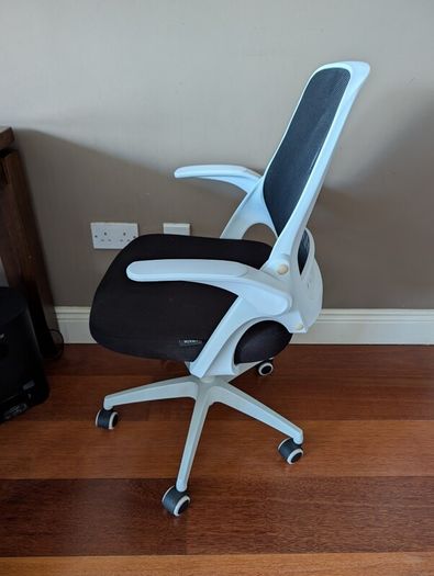 Ergonomic Office chair