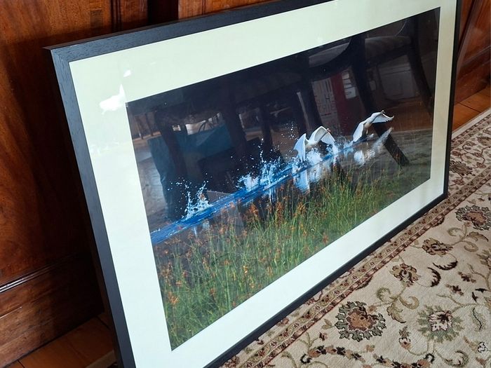 Framed Photograph
