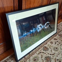 Framed Photograph