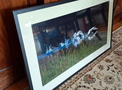 Framed Photograph