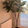 IKEA FEJKA Artificial Plant Image 2